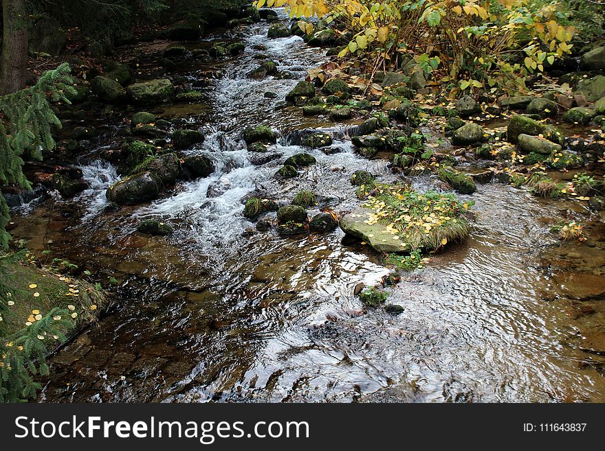 Water, Stream, Nature, Body Of Water