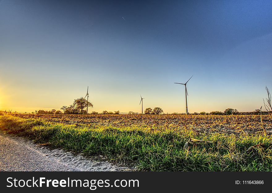 Field, Sky, Ecosystem, Windmill