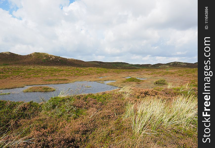 Grassland, Ecosystem, Nature Reserve, Loch