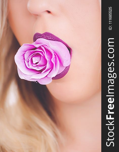 Pink Rose Flower on Woman&#x27;s Mouth