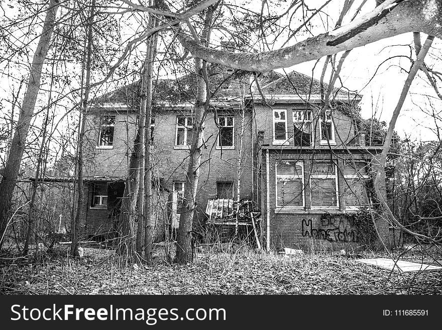 House Surrounded With Trees on Grayscale Photography