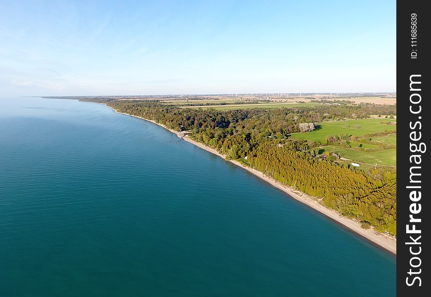 Trees on Seashore Under Clear Blue Sky at Daytime