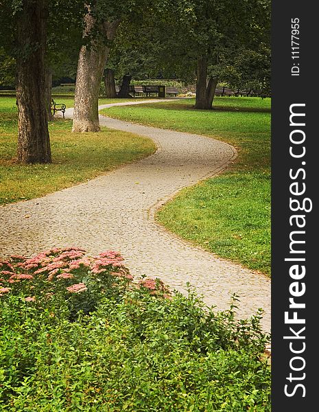 Curved paved path in green park with trees and flowers, background. Curved paved path in green park with trees and flowers, background.