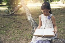 Cute Girl Reading A Book In The Park Stock Images
