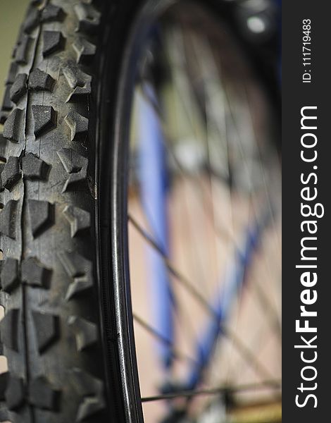 Bicycle Wheel, Tire, Spoke, Bicycle Part