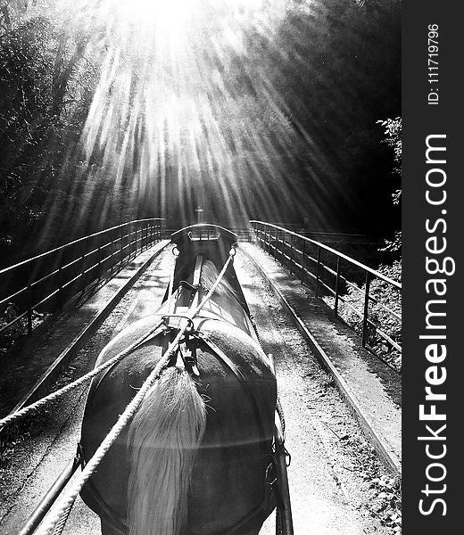 Black, Black And White, Monochrome Photography, Water