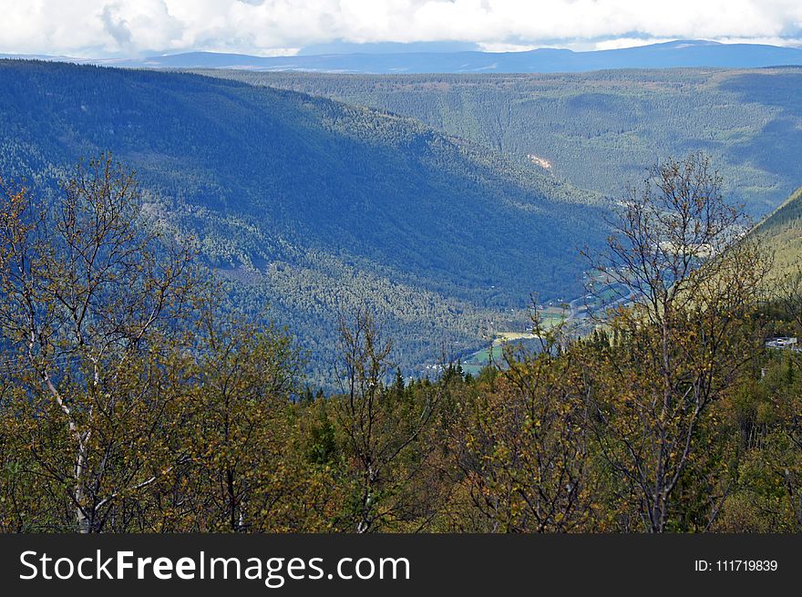 Wilderness, Ridge, Mountain, Ecosystem
