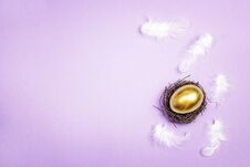 Golden Egg In The Nest With Feathers On Violet Background. Space Royalty Free Stock Photo