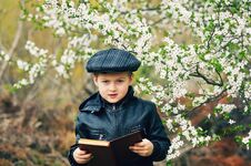Boy On A Walk In The Garden In The Spring Royalty Free Stock Image