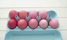 Easter.Pastel Colored Eggs.Spring Composition.Flat Ley. Stock Photos Easter.Pastel Colored Eggs.Spring Composition.Flat Ley. Stock Photos