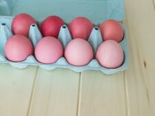 Easter.Pastel Colored Eggs.Spring Composition.Flat Ley. Stock Photos