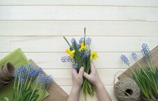 Children`s Hands Collect A Bouquet As A Gift. A Gift For Mom. Stock Photo