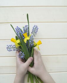 Children`s Hands Collect A Bouquet As A Gift. A Gift For Mom. Royalty Free Stock Photo
