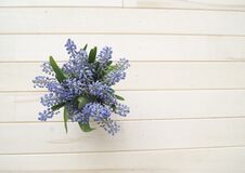 A Bouquet Of Muscari. Wooden Background. The View From The Top. Royalty Free Stock Photography