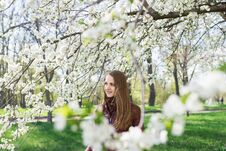 A Young Beautiful Girl With Long Hair And A Brown Scarf Is Wrapped Around The Neck Into The Blossoming Apple Tree. Royalty Free Stock Images