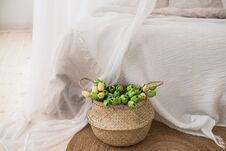 Wicker Basket With Green Tulips. Stock Photography