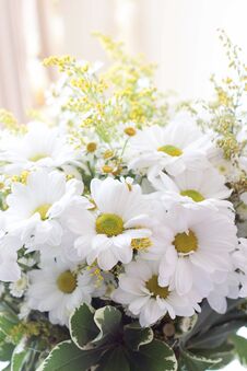 Bouquet Of Daisies,chamomile, Delicate, Summer In Home Royalty Free Stock Photo