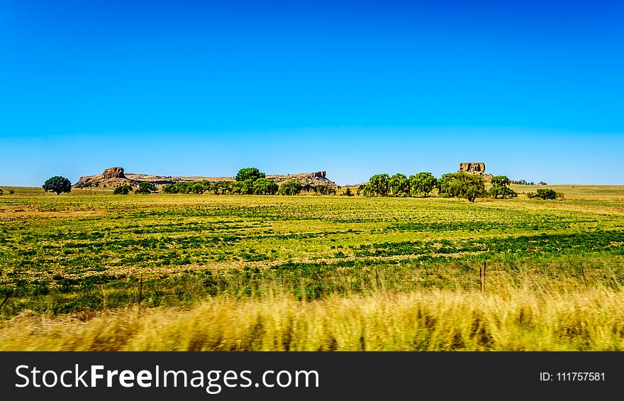 Fertile Farmland of the Free State province in South Africa