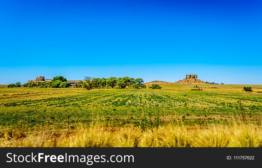 Fertile Farmland of the Free State province in South Africa under blue sky