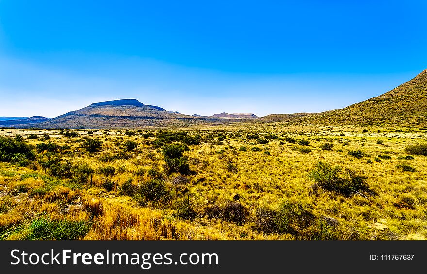 Endless Wide Open Landscape Of The Semi Desert Karoo Region In Free State And Eastern Cape