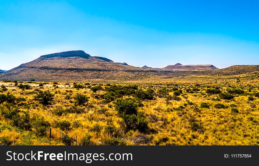 Landscape of the semi desert Karoo Region in Free State and Eastern Cape provinces in South Africa under blue sky