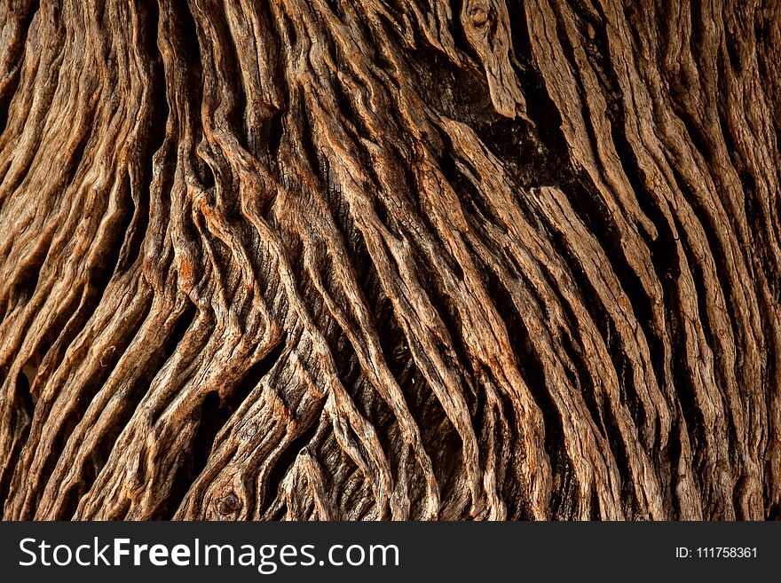 Closeup of Old and Grunge Wooden Texture Surface Background, Dark Brown