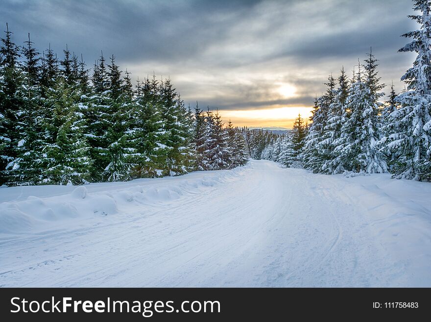 Sunrise In Snowy Mountains