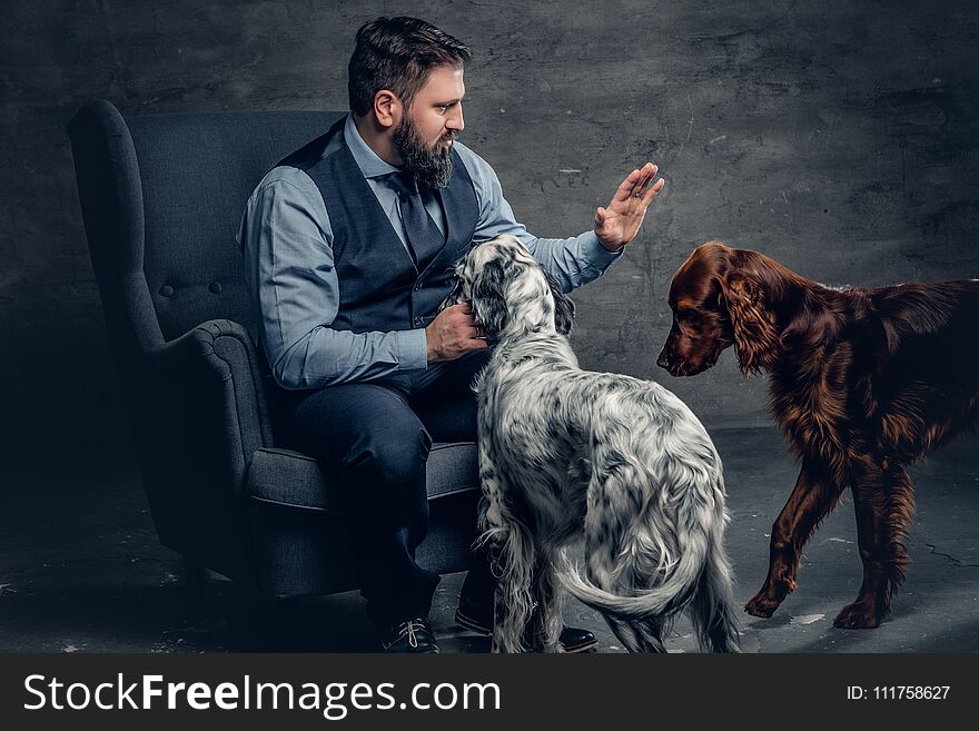 Portrait of stylish bearded male sits on a chair and his two Irish setter dogs. Portrait of stylish bearded male sits on a chair and his two Irish setter dogs.