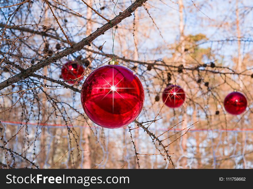 Larch branches in winter, decorated for Christmas with large glass red balls, against the sky, winter festive landscape