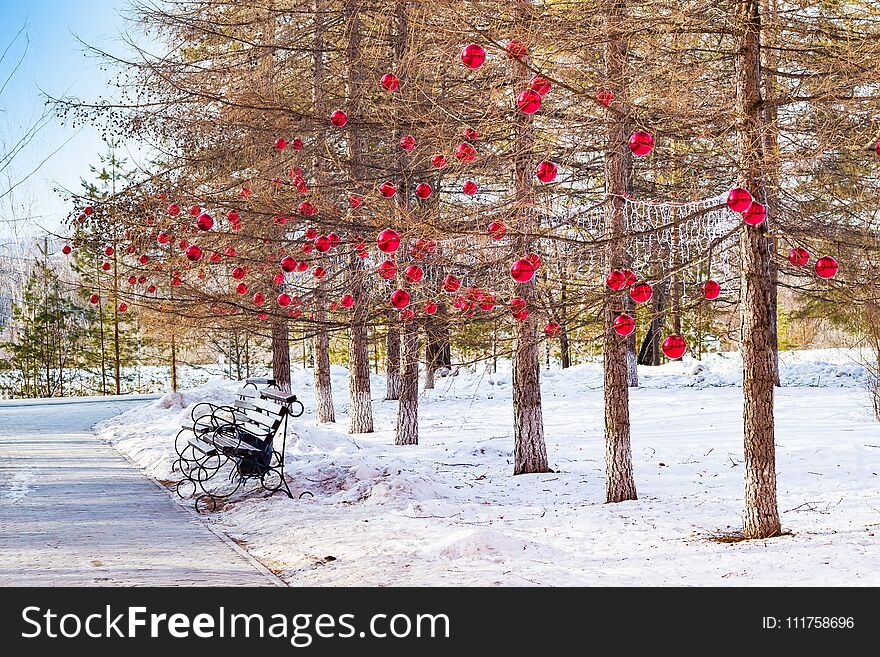 Larch winter in the Park with walkway and benches, decorated to Christmas red glass balls, winter landscape,
