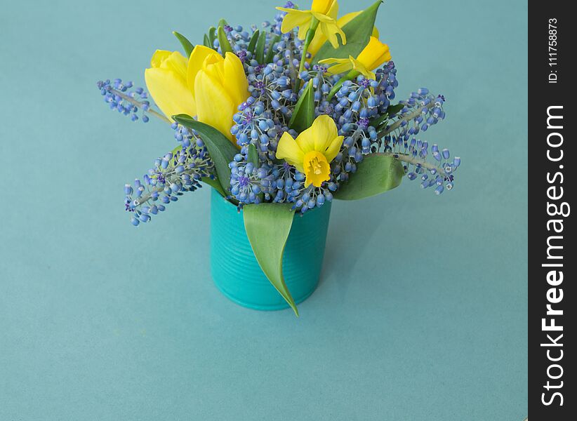 Bouquet of daffodils, tulips and Muscari.Easter. Easter eggs are blue and turquoise. Blue background. The 8th of March,mother`s day. Gift bouquet in a vase.