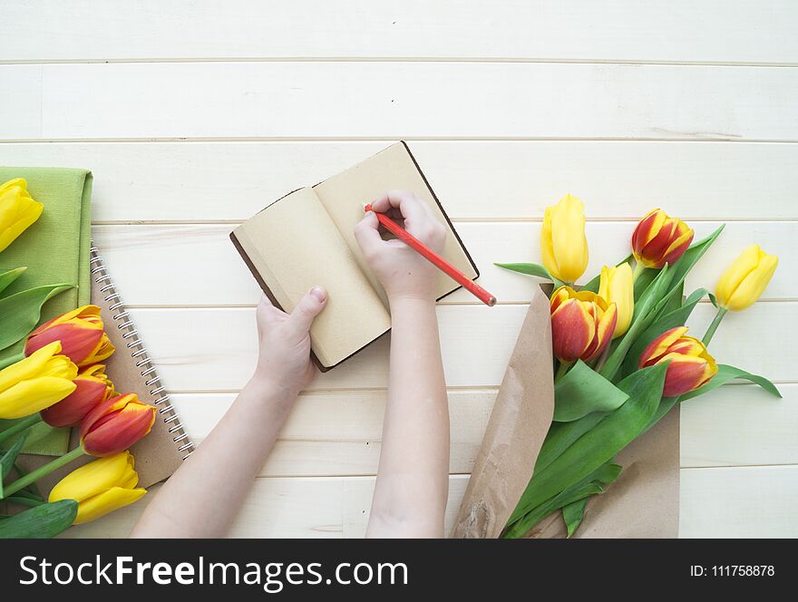 Children`s hands write in a notebook. A letter to my mother from the child. The girl writes congratulations. View from above. The child gives a gift. A bouquet of tulips is yellow, red and orange.