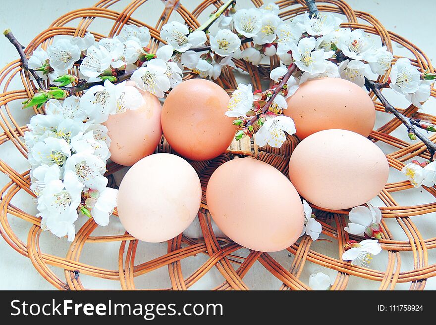 Painted Easter eggs basket and cherry tree blossom. Painted Easter eggs basket and cherry tree blossom