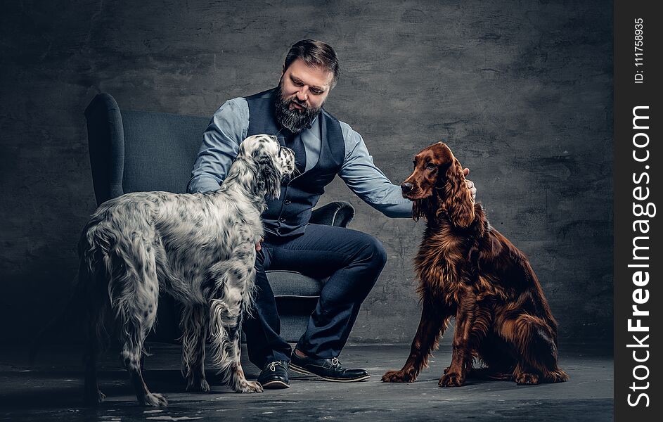 Portrait of stylish bearded male sits on a chair and his two Irish setter dogs. Portrait of stylish bearded male sits on a chair and his two Irish setter dogs.