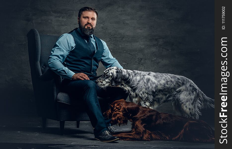 Portrait of stylish bearded male sits on a chair and his two Irish setter dogs. Portrait of stylish bearded male sits on a chair and his two Irish setter dogs.