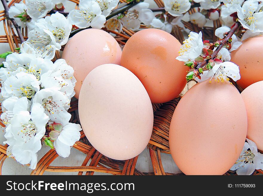 Painted Easter eggs basket and cherry tree blossom. Painted Easter eggs basket and cherry tree blossom