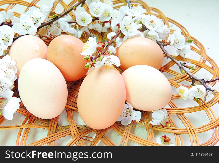 Painted Easter eggs basket and cherry tree blossom. Painted Easter eggs basket and cherry tree blossom