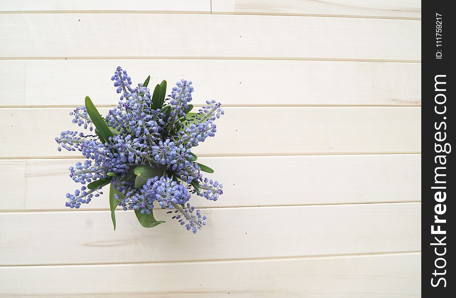 A bouquet of Muscari. Wooden background. The view from the top. A bouquet of purple flowers standing in a tin. The rustic style. Mono bouquet.