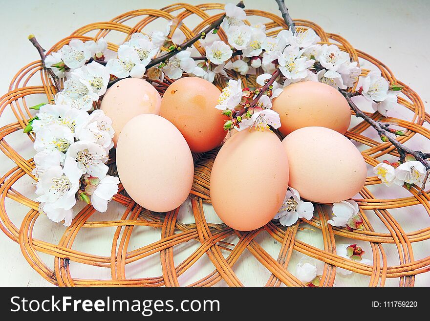 Painted Easter eggs basket and cherry tree blossom. Painted Easter eggs basket and cherry tree blossom