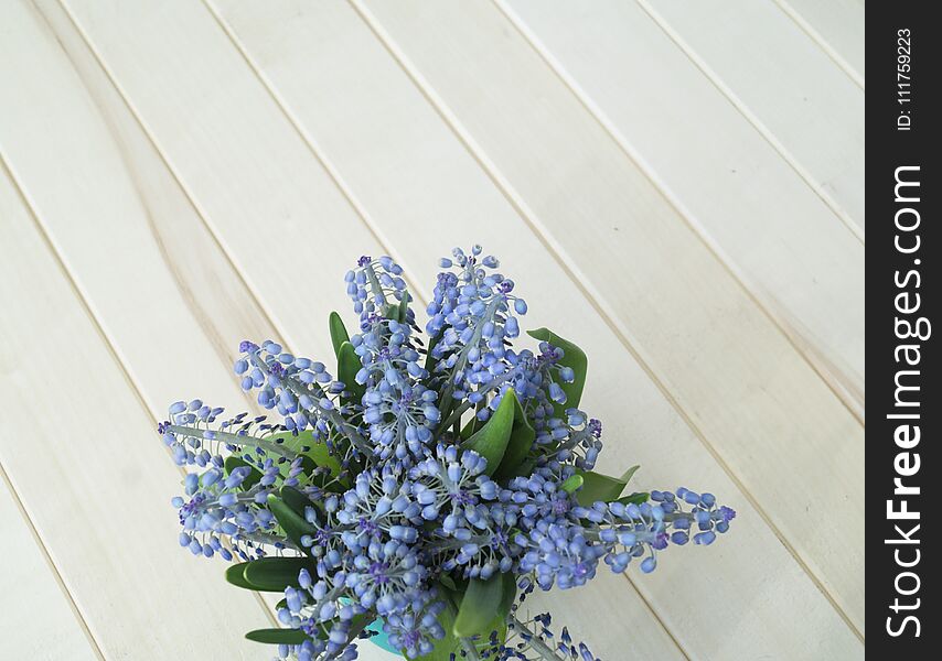 A bouquet of Muscari. Wooden background. The view from the top.