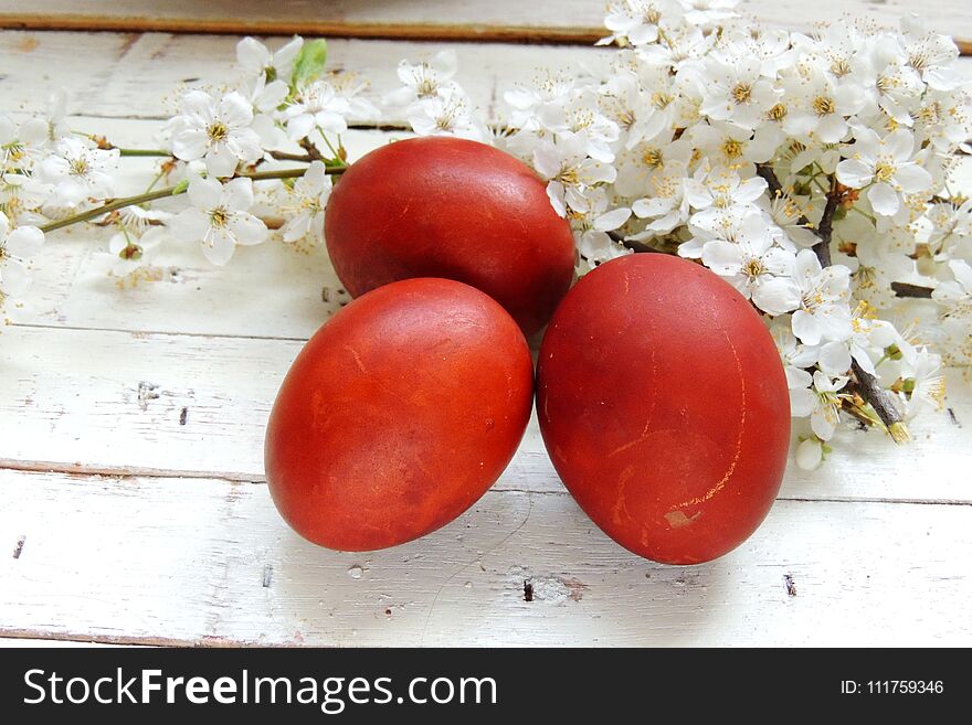 Easter Eggs And Cherry Twigs