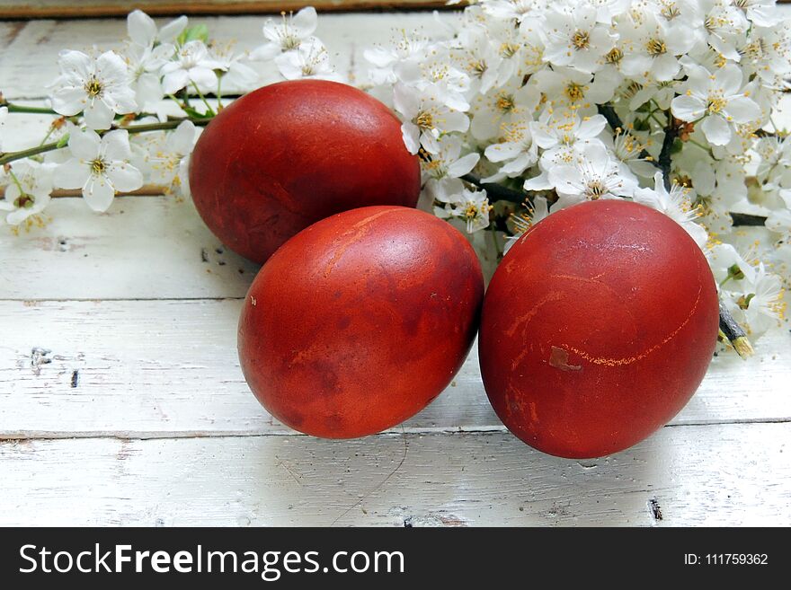 Painted Easter eggs basket and cherry tree blossom. Painted Easter eggs basket and cherry tree blossom