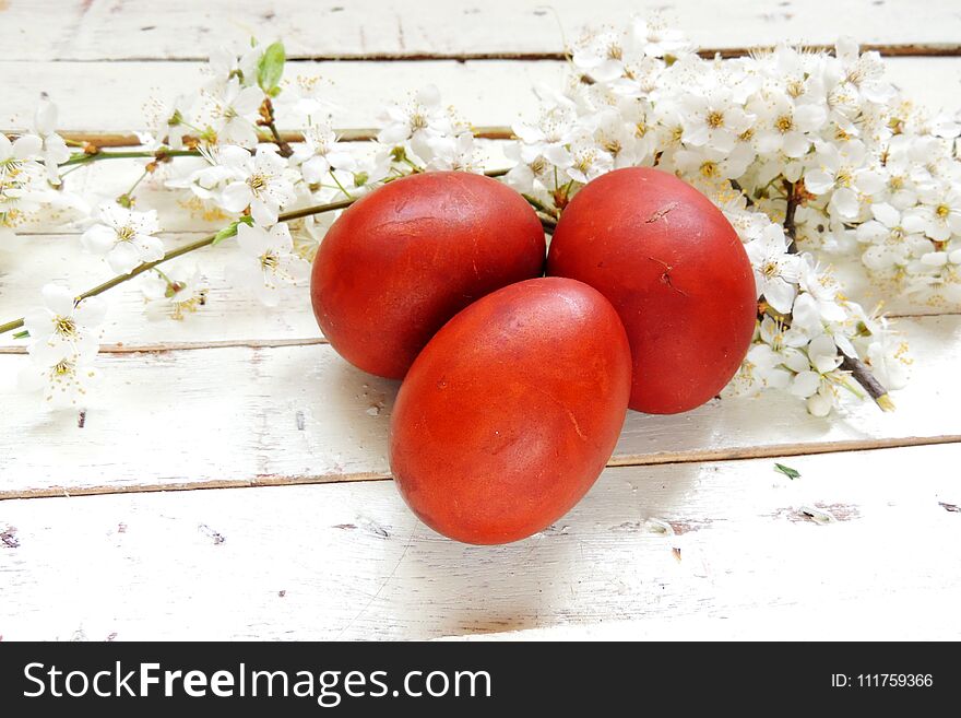 Easter Eggs And Cherry Twigs