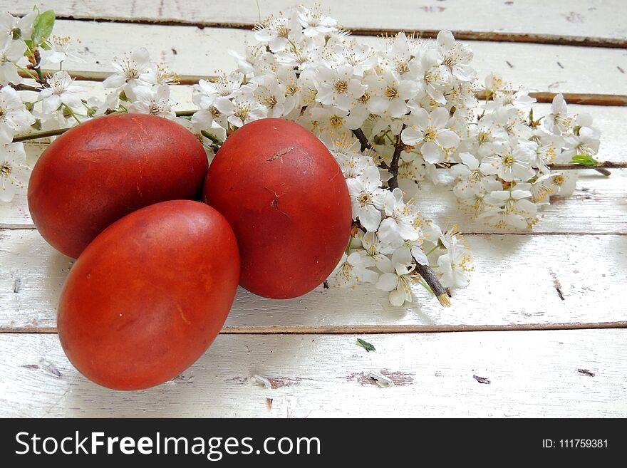 Easter eggs and cherry twigs