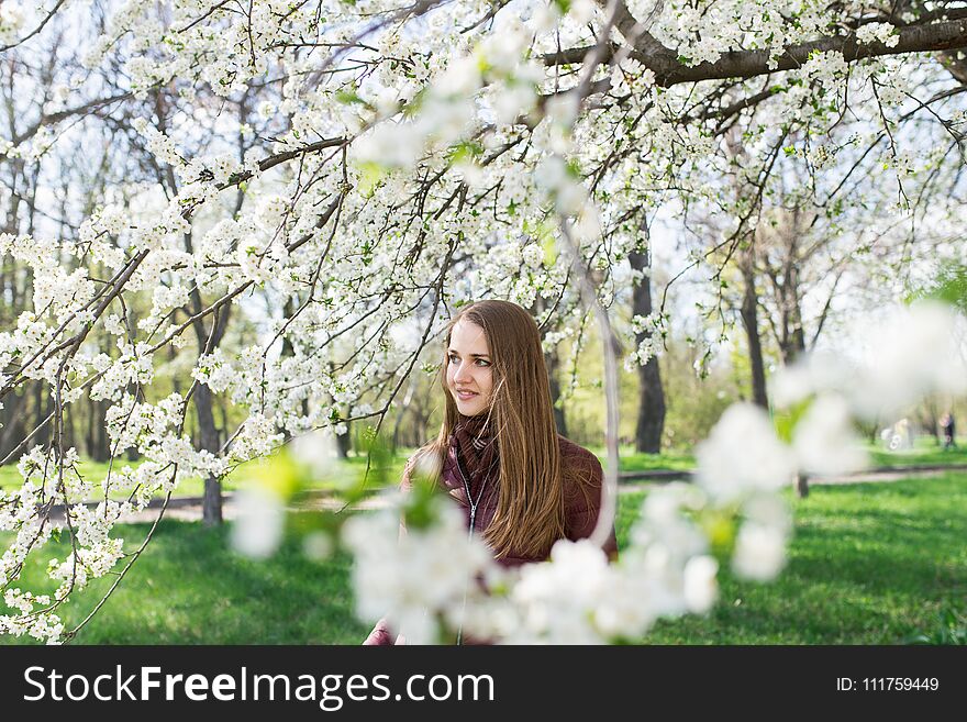 A young beautiful girl with long hair and a brown scarf is wrapped around the neck into the blossoming apple tree.