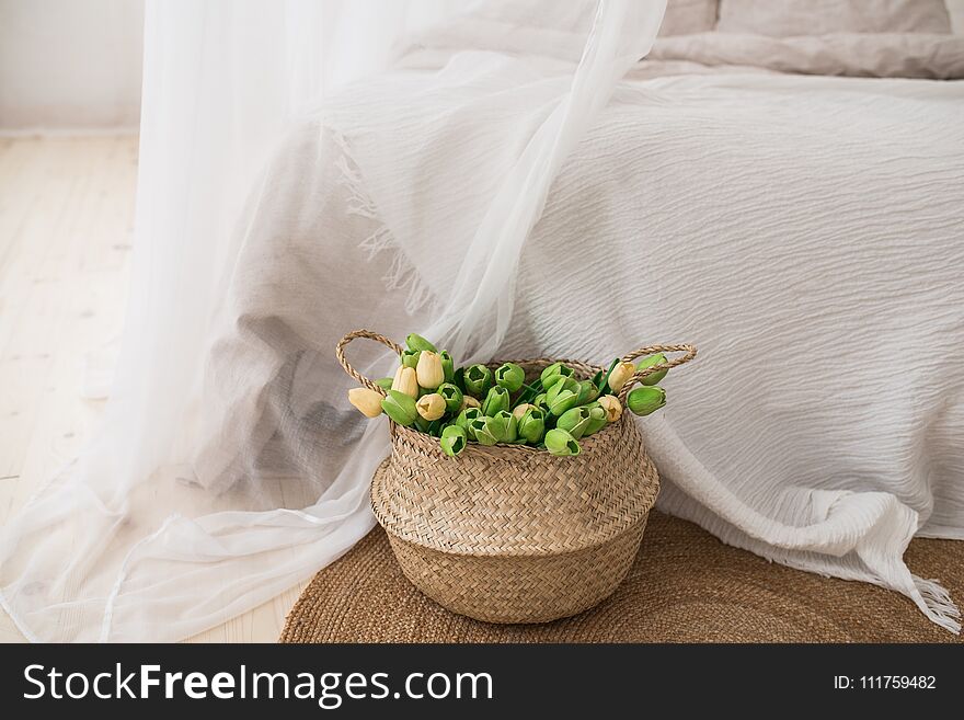 Wicker basket with green tulips. Home