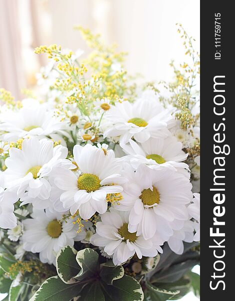 Bouquet of daisies,chamomile, delicate, summer in home