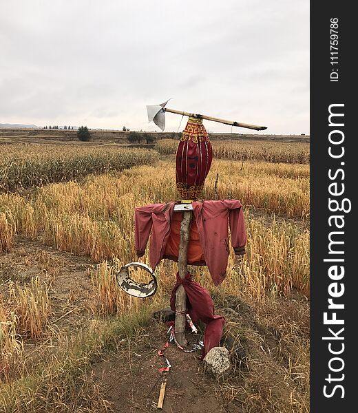 Scarecrow In The Corn Field