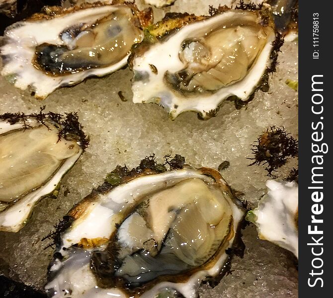 Raw fresh Pacific oysters served on the halfshell on resting on a bed of crushed ice. Raw fresh Pacific oysters served on the halfshell on resting on a bed of crushed ice