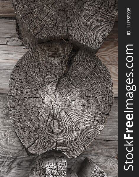 Texture of old weathered tree close - up outdoors. Logs and boards. Texture of old weathered tree close - up outdoors. Logs and boards.